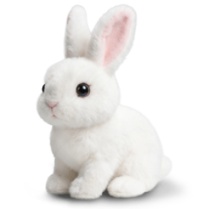 Hoppsy image