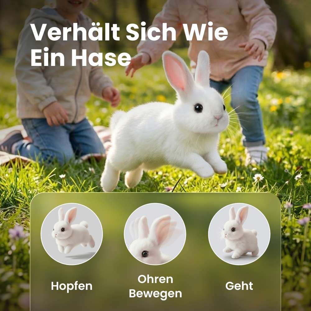 Hoppsy image