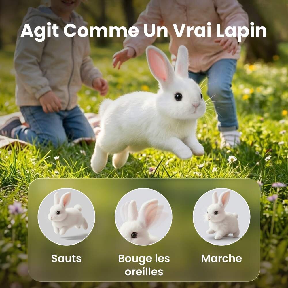 Hoppsy image