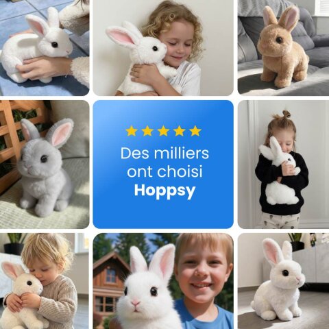 Hoppsy image