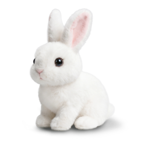 Hoppsy image